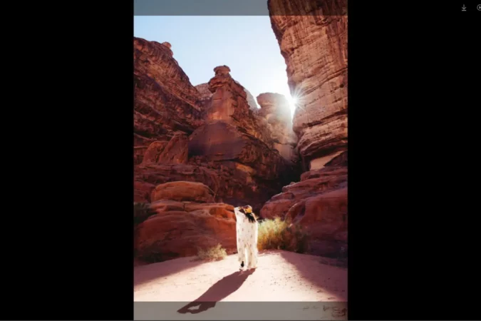 Luxury Concept v1.5.3 released!